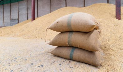 Üreticiler buğday ve arpada daha fazla alım yapılmasını istiyor: Yüksek alım çiftçiyi rahatlatır